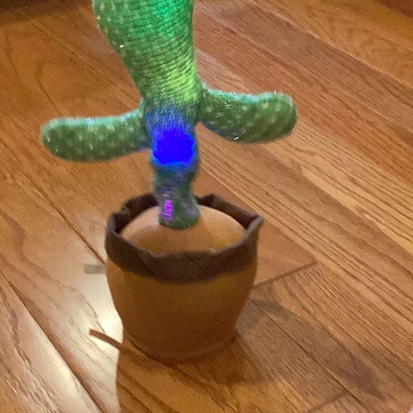 Cactus for kids. - Picture 12 of 14